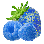 Energy Drink Berryade Volt