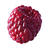 Ruby Red Raspberry