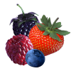 Wild BERRY Ice Tea